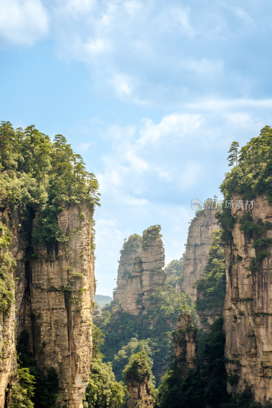 中国湖南张家界景区奇特山峰与茂密森林