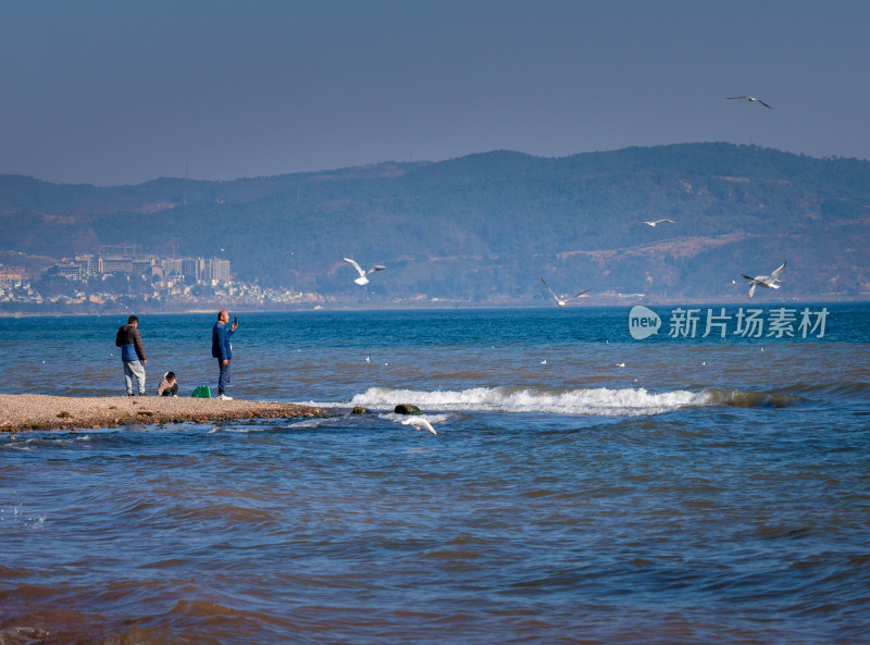 云南抚仙湖旅游美景漂亮