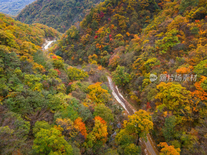 南阳老界岭秋景风光