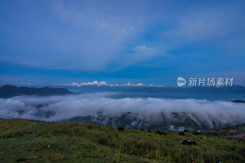 四川雅安牛背山云海