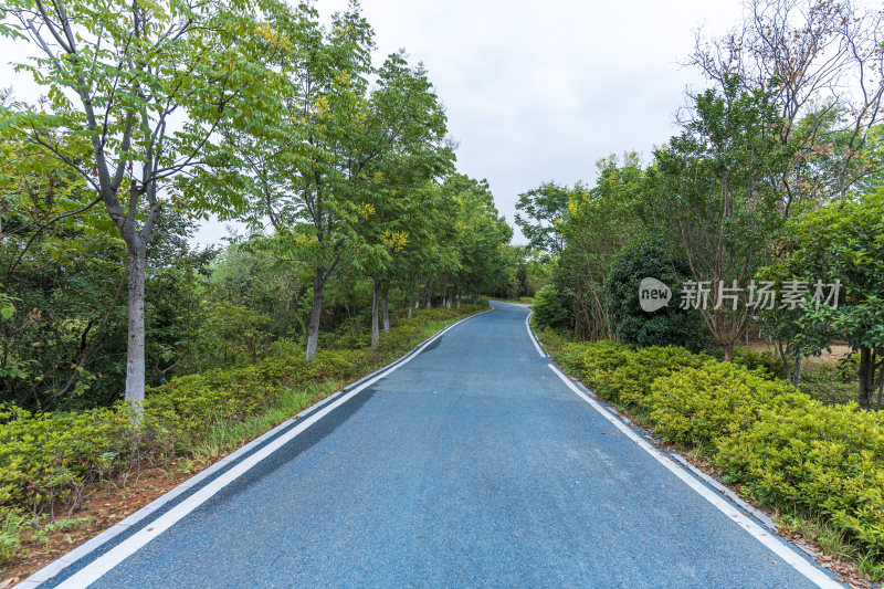 武汉光谷黄龙山公园风景