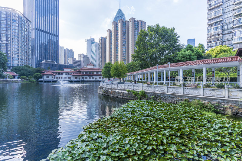 武汉江岸区小南湖公园风景