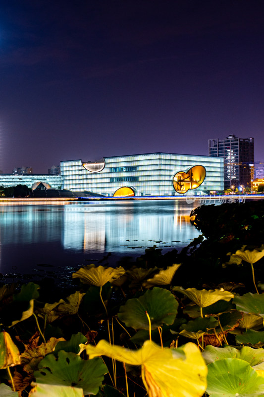 上海嘉定远香湖夜景倒影景观