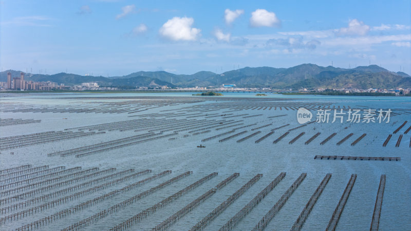 惠州盐洲岛生蚝养殖场航拍