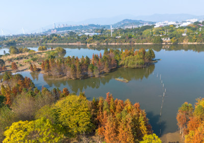 福州多彩树林沿水域分布的自然风景航拍