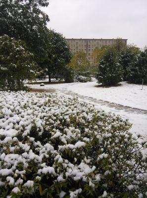 冬天雪景