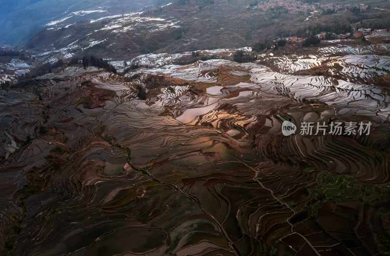 云南旅游大理洱海蒙自弥勒建水元阳梯田景区