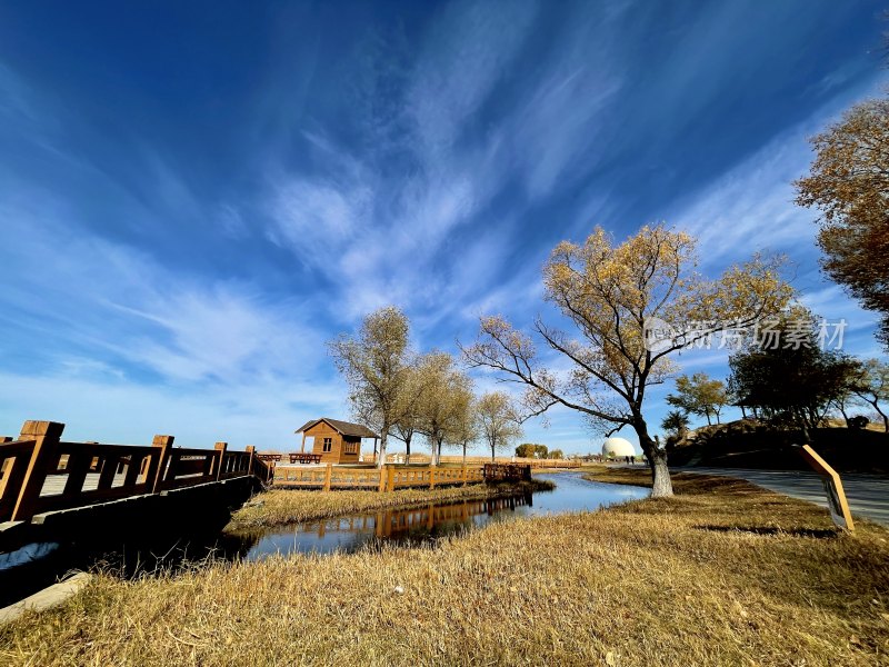 扎龙湿地美景