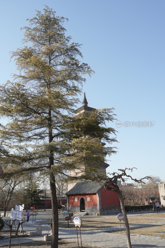 正定开元寺