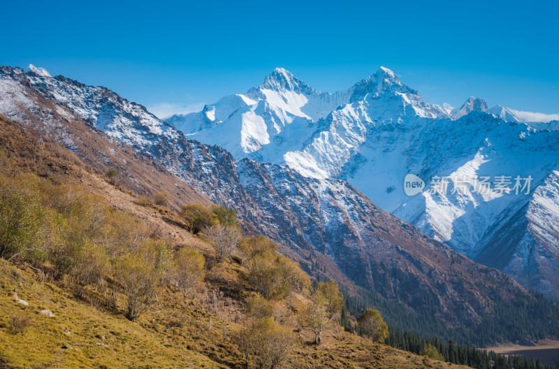 新疆夏塔雪山草原山水自然风景