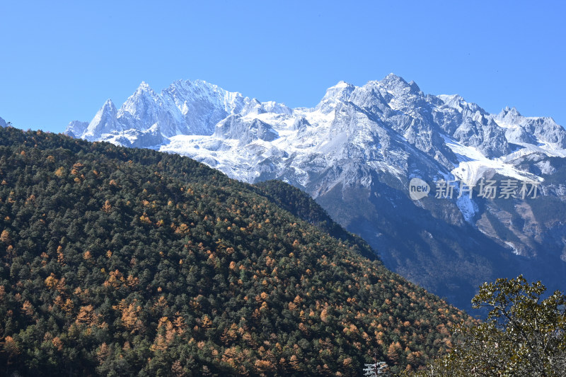 远处的玉龙雪山