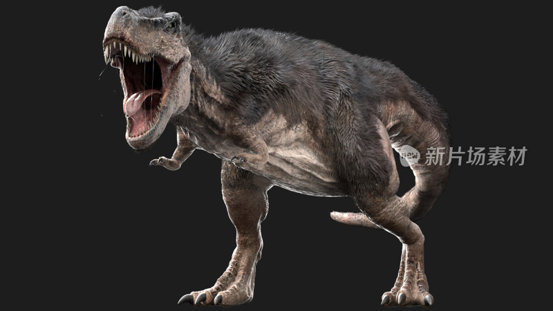 大型食肉恐龙 远古恐龙