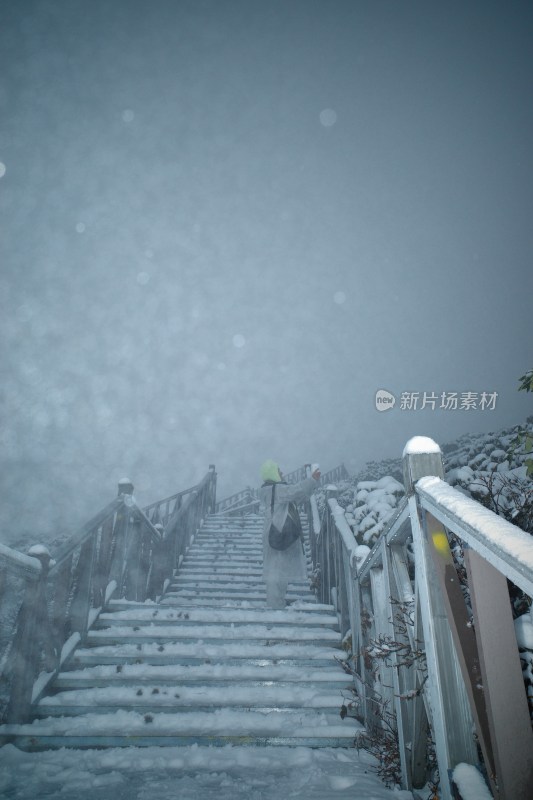 覆雪绿叶与冰柱景观