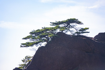 安徽黄山风景区自然风光