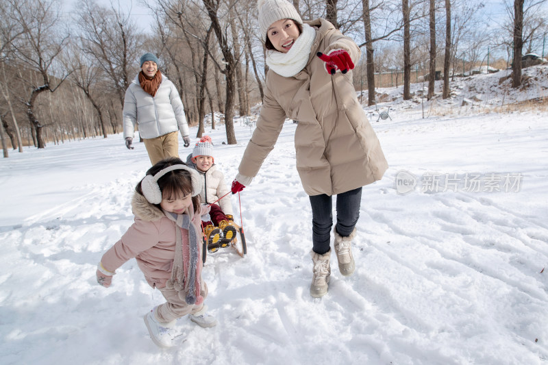 欢乐家庭在雪地上玩雪橇