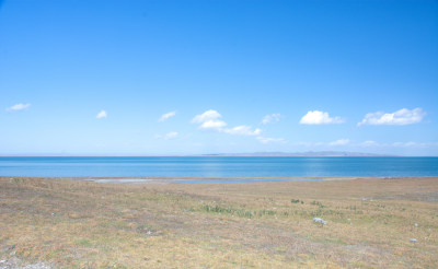 秋天晴朗的青海湖高原牧场羊群自然风光