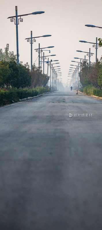 道路上整齐排列的中式路灯