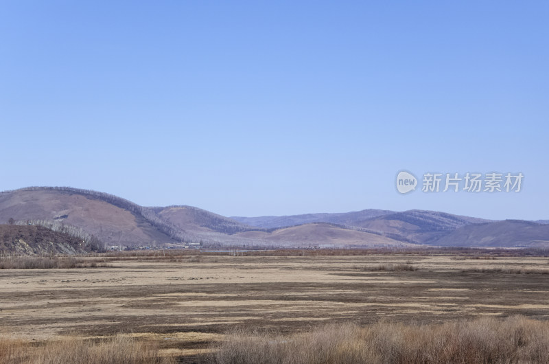 内蒙古呼伦贝尔临江屯草原牧场秋景