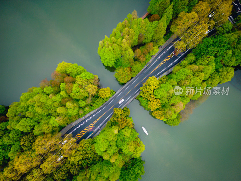 航拍2024杭州西湖杨公堤春天风光