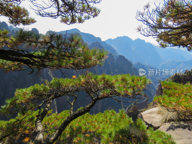 中国安徽黄山旅游风光