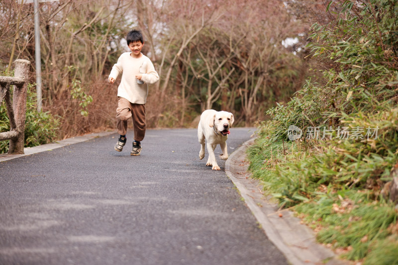 一个中国小男孩和他的宠物拉布拉多犬