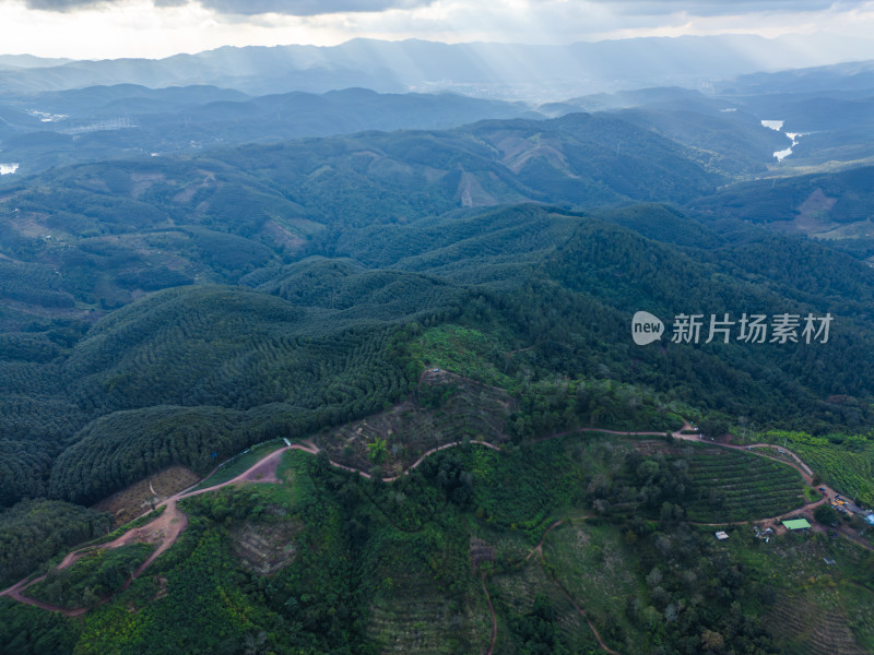 航拍视角下的大片绿色山林山脉全景