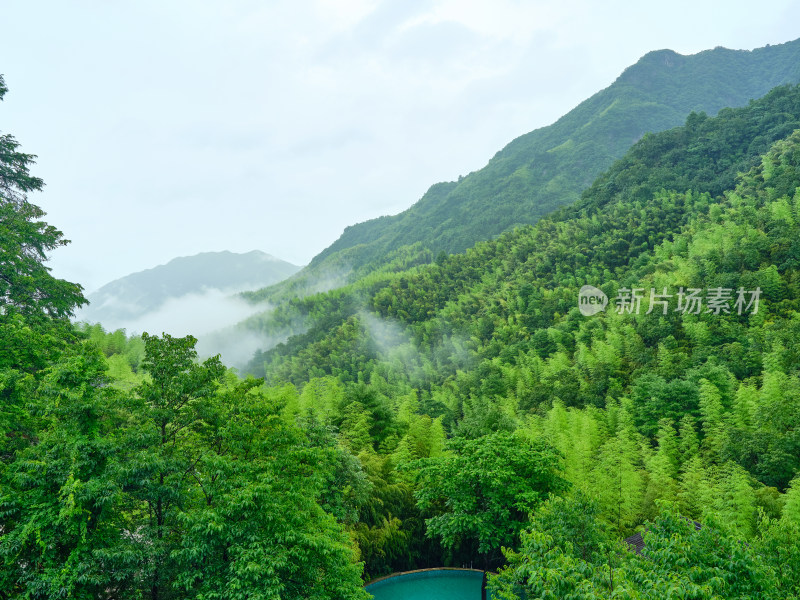 安吉夏天雨季山间竹林云雨