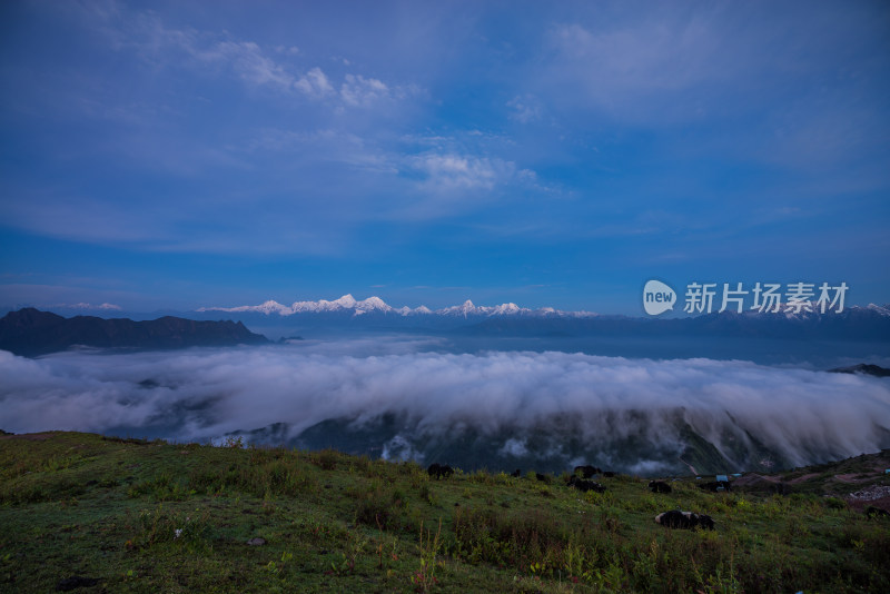 四川雅安牛背山云海