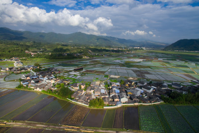 水田秧田中的乡村村落