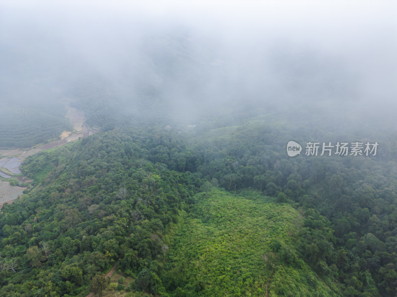 云雾笼罩下的葱郁山林鸟瞰全景