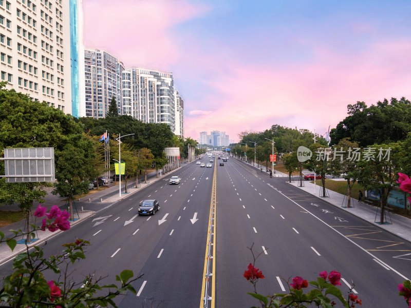 城市道路与高楼全景