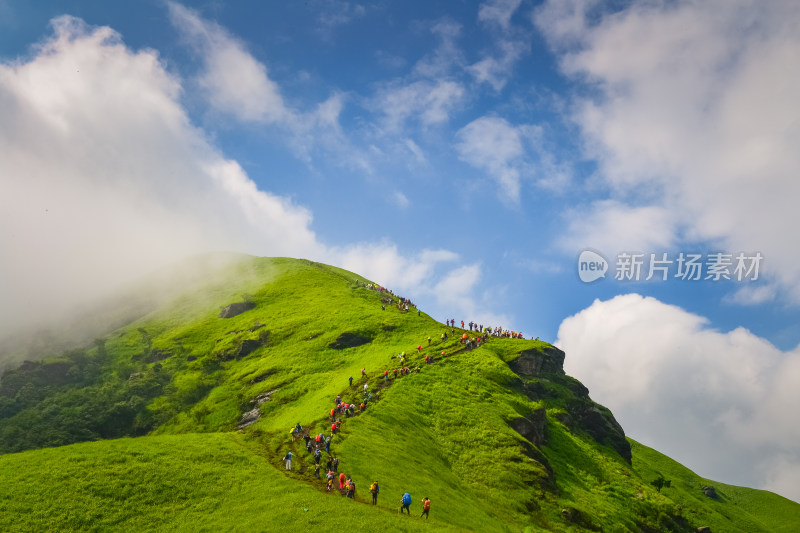 夏天江西武功山的高山草甸