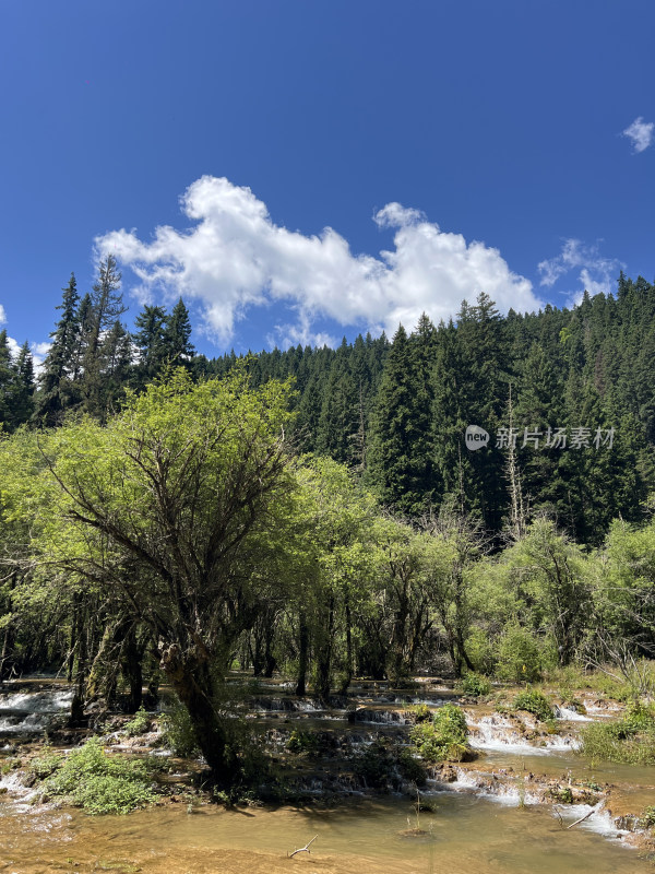 松潘县牟尼沟景区自然山水风光