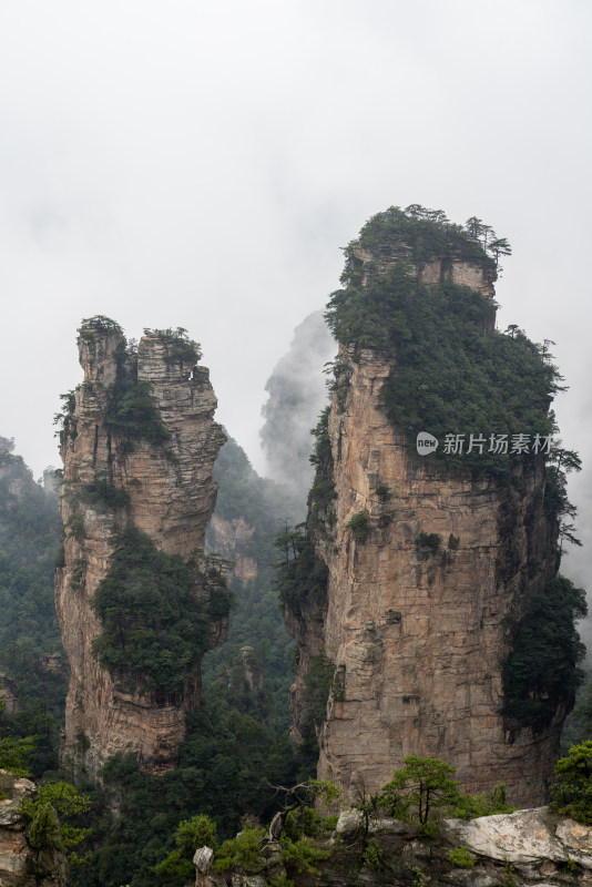 云雾缭绕的张家界奇峰异石景观