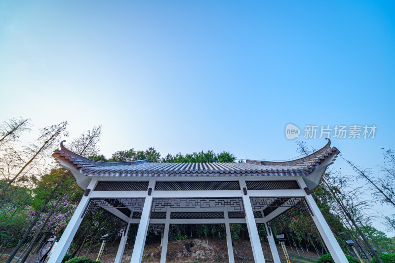 广州番禺大学城中心湖公园休息亭传统建筑