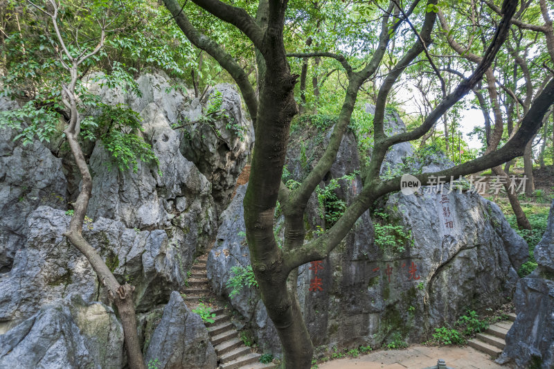 航拍杭州凤凰山景区月岩石灰岩石林