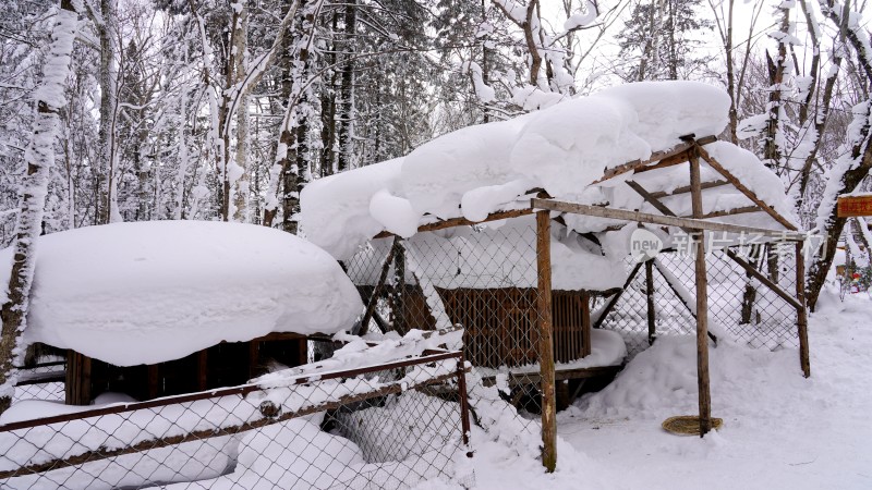 林海雪原