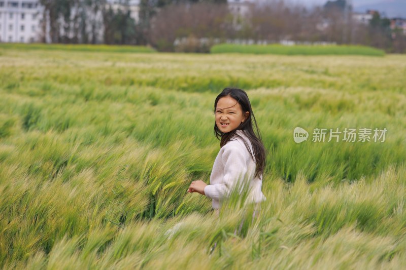 女孩在麦田中玩耍