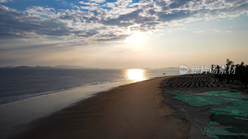 大海海洋