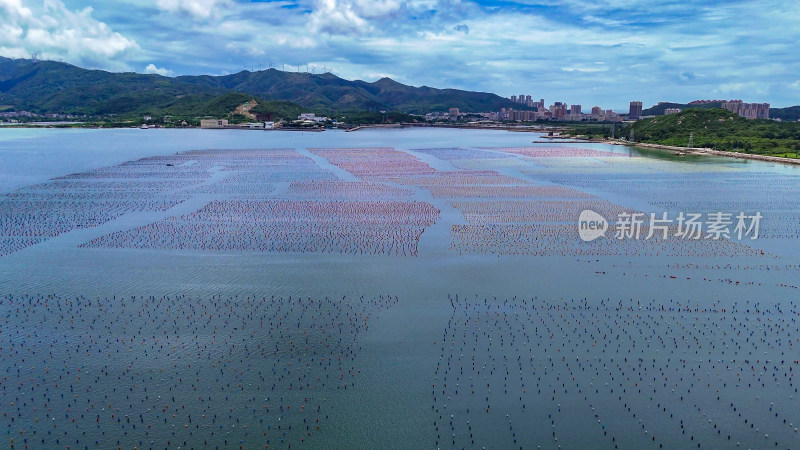 渔民海上海鲜养殖水产航拍图