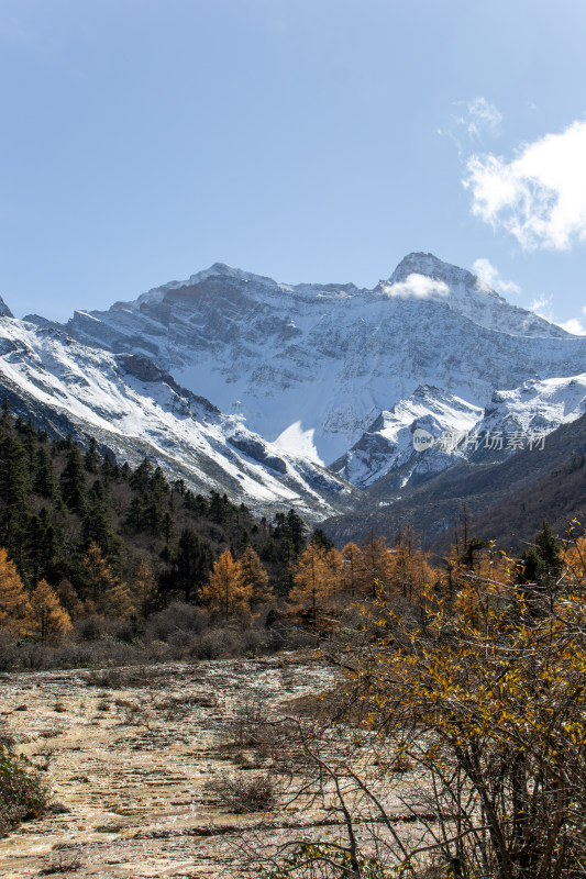 四川阿坝黄龙景区雪山秋色