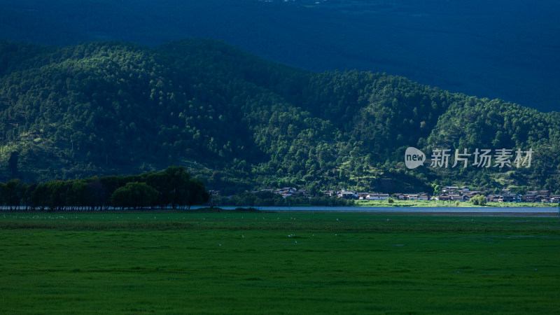 丽江拉市海湿地公园夏末风光茶马古道风景