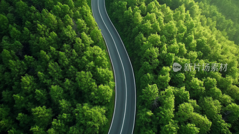 空中航拍高速公路旁绿色森林植物乡村景观