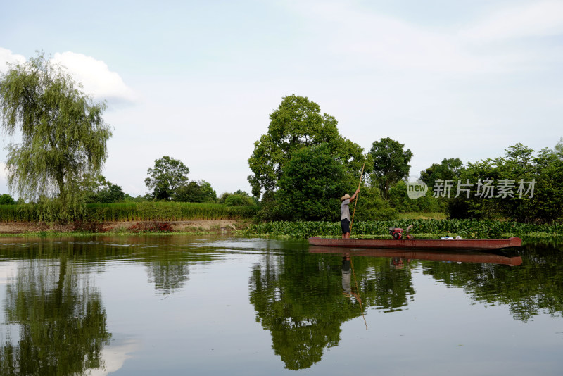 桂林会仙湿地景观