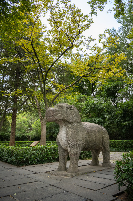 南京钟山明孝陵景区石像路夏季獬豸