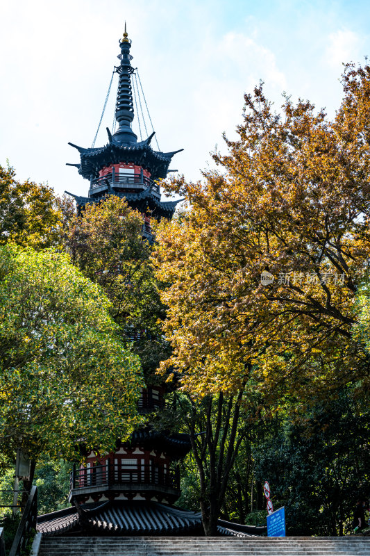 上海松江佘山森林公园自然建筑景观