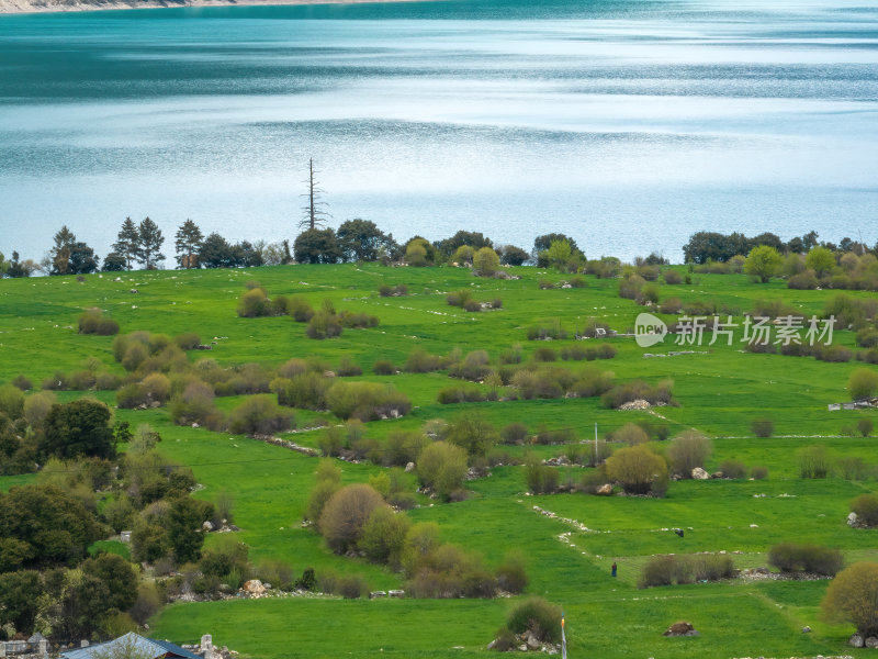 西藏林芝地区巴松错村庄神湖春色高空航拍