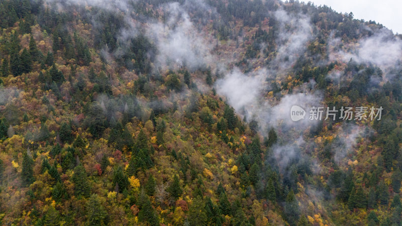 阿坝州黄龙风景名胜区秋色