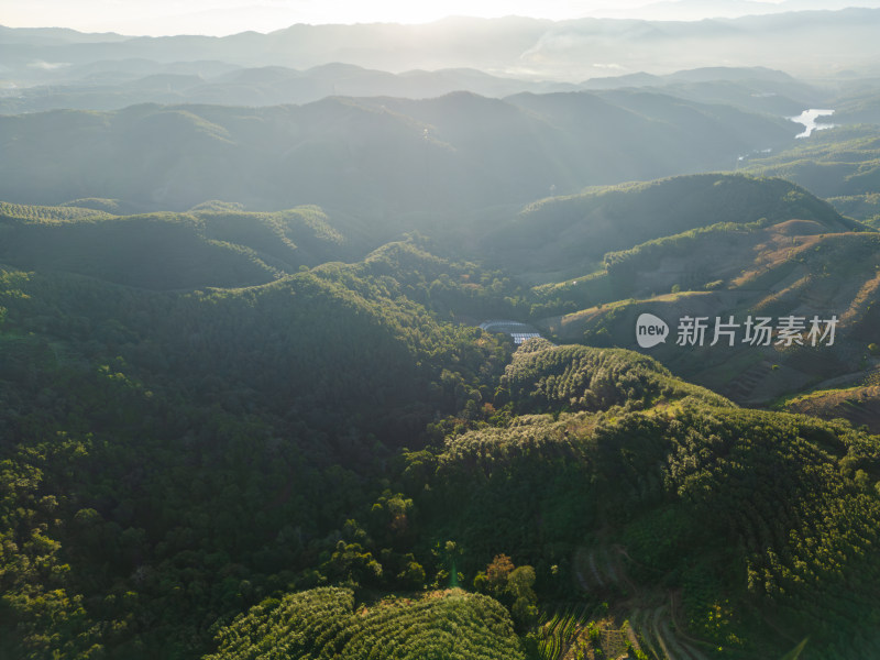 航拍视角下的大片绿色山林山脉全景