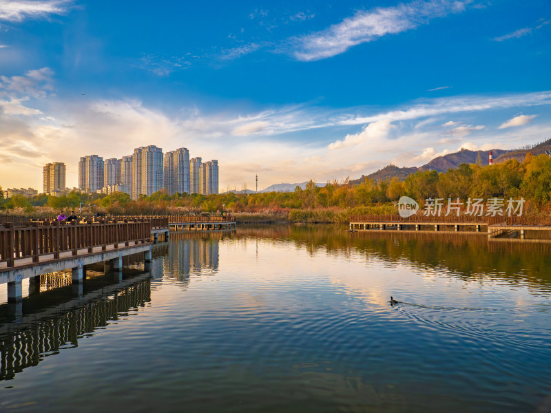 青海西宁宁湖湿地公园